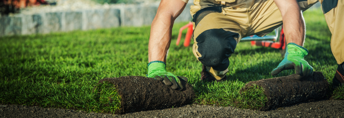 A few people digging in the dirt.