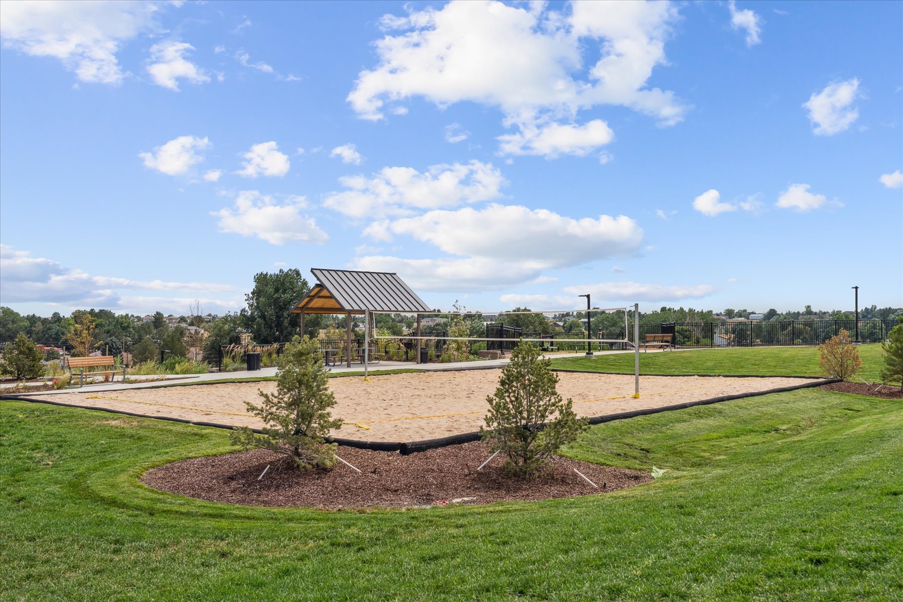 A small tree in a field.