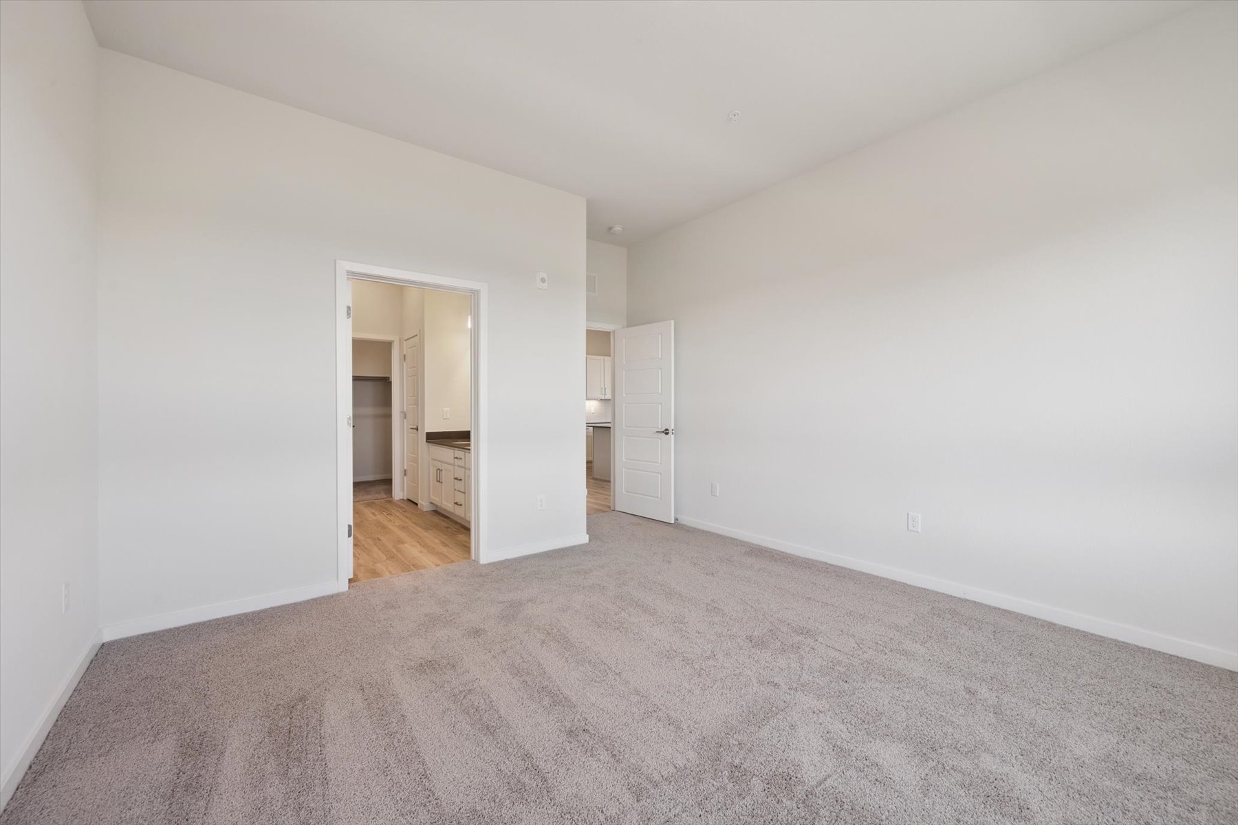 A hallway with a carpet.