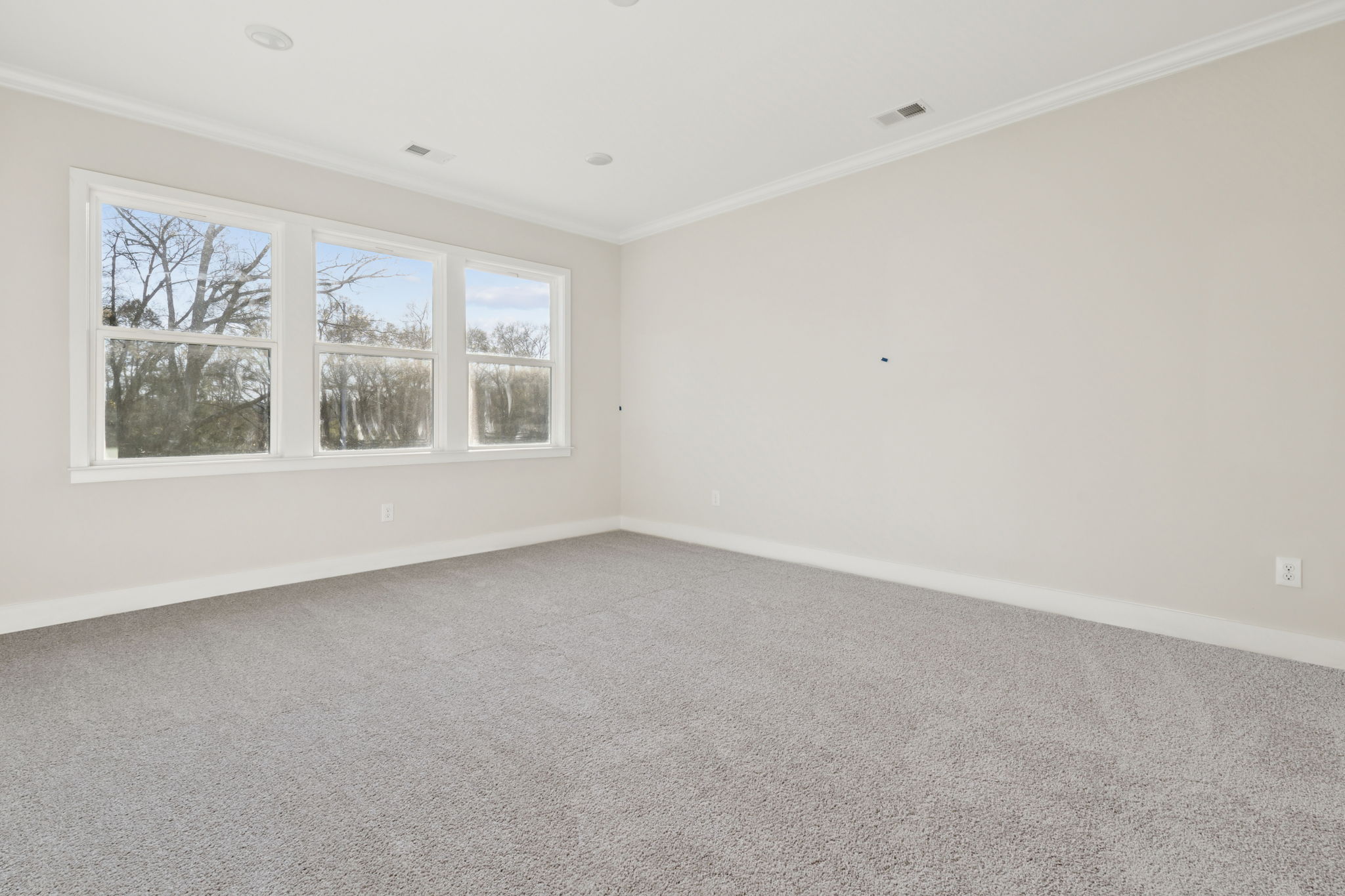 Daffodil Primary Suite