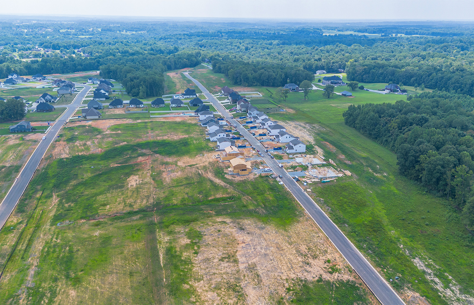 A road with a large amount of trees and buildings on the side.