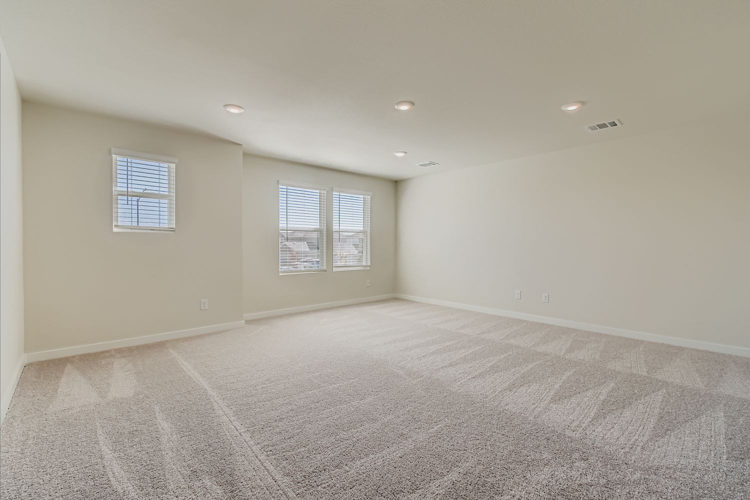 A room with a carpet and windows.